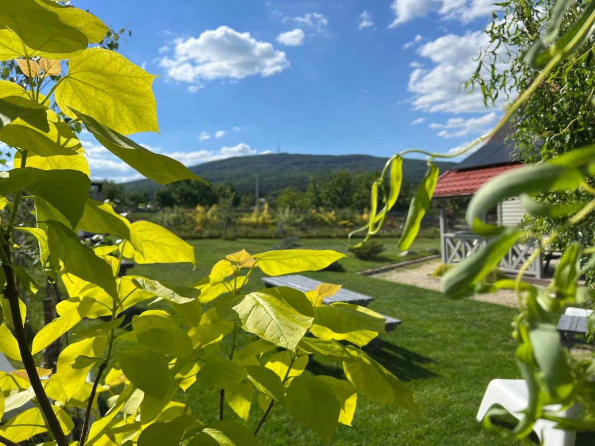 Feriehus Blizej Slezy Pod Sleza